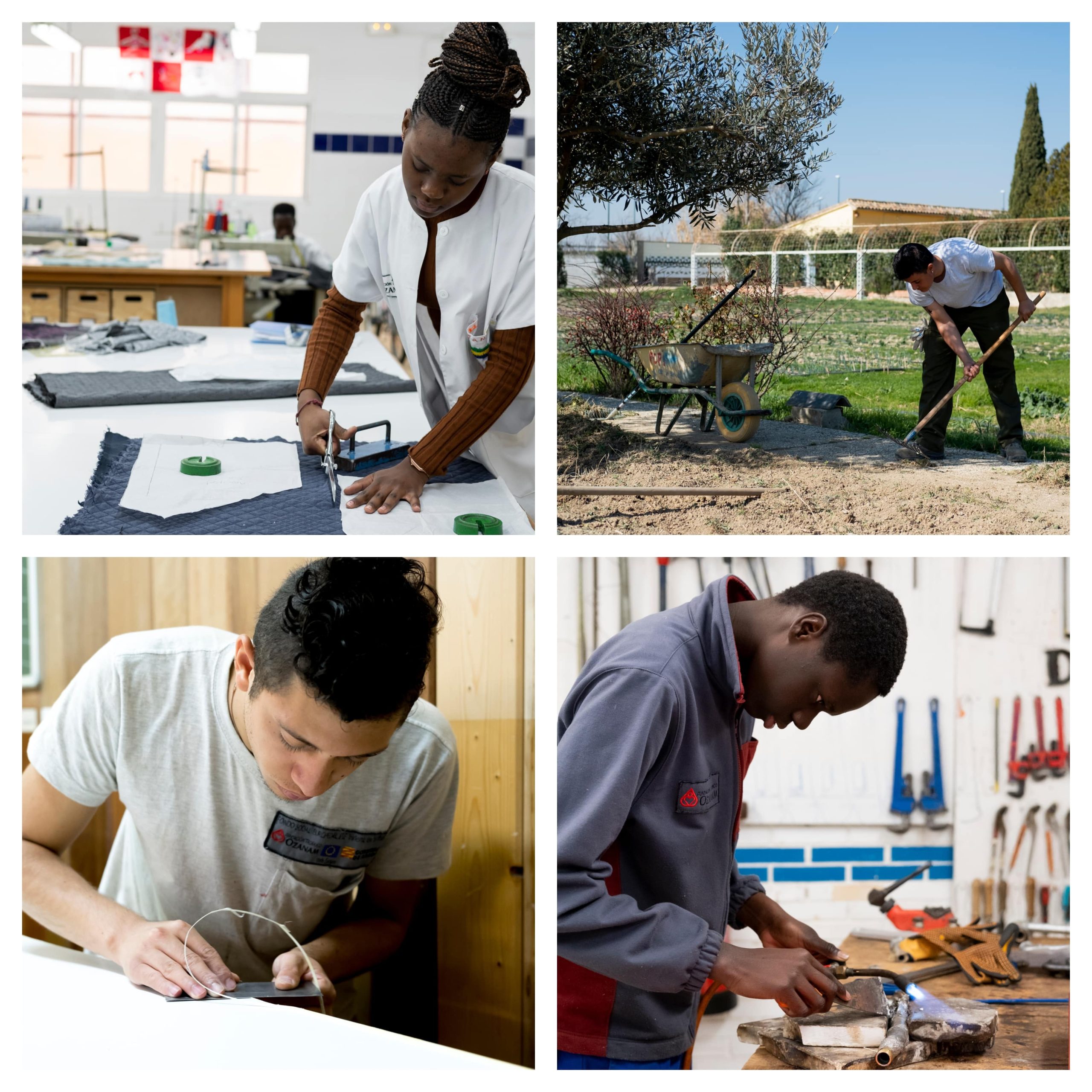 Programas de Cualificación Inicial