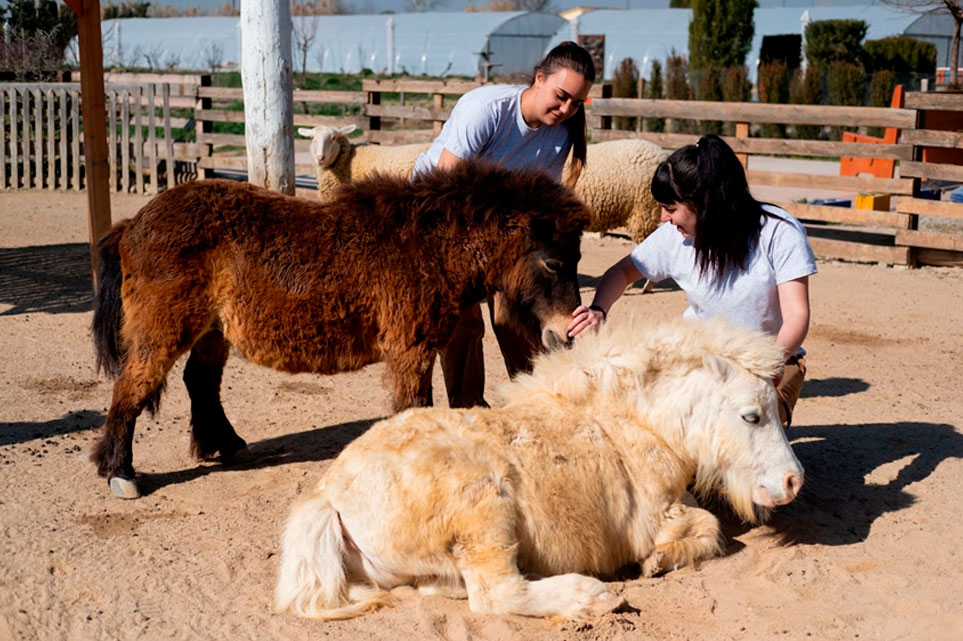 Ozanam-Granja-Escuela-CAI-Torreivirreina-animales